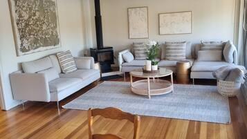 Una Smart TV, una chimenea, libros, servicios de streaming