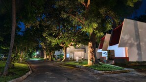 Calle arbolada iluminada de noche, con edificios y una carretera pavimentada.