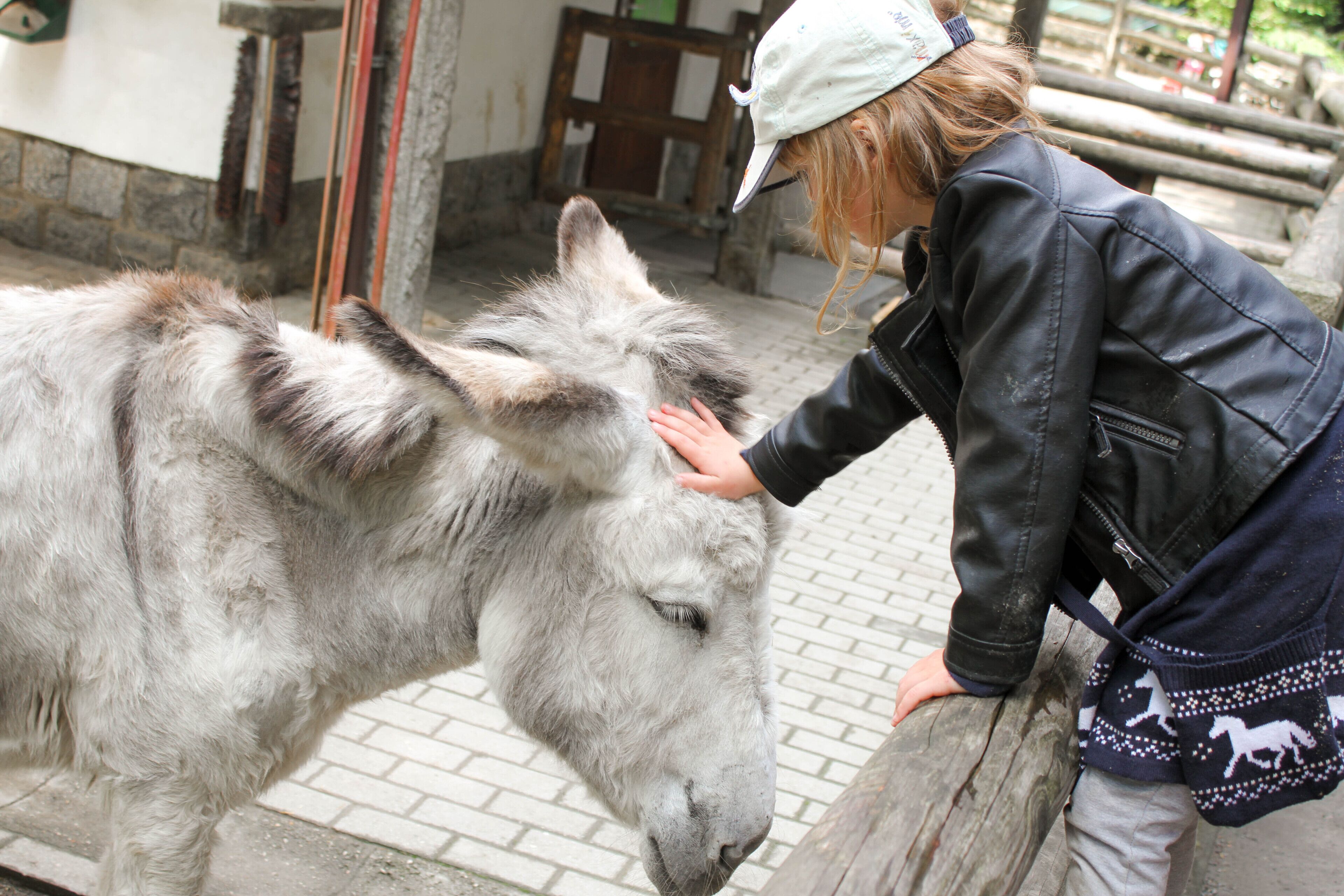 A person petting a donkey in an outdoor area with stone walls and wooden structures.
