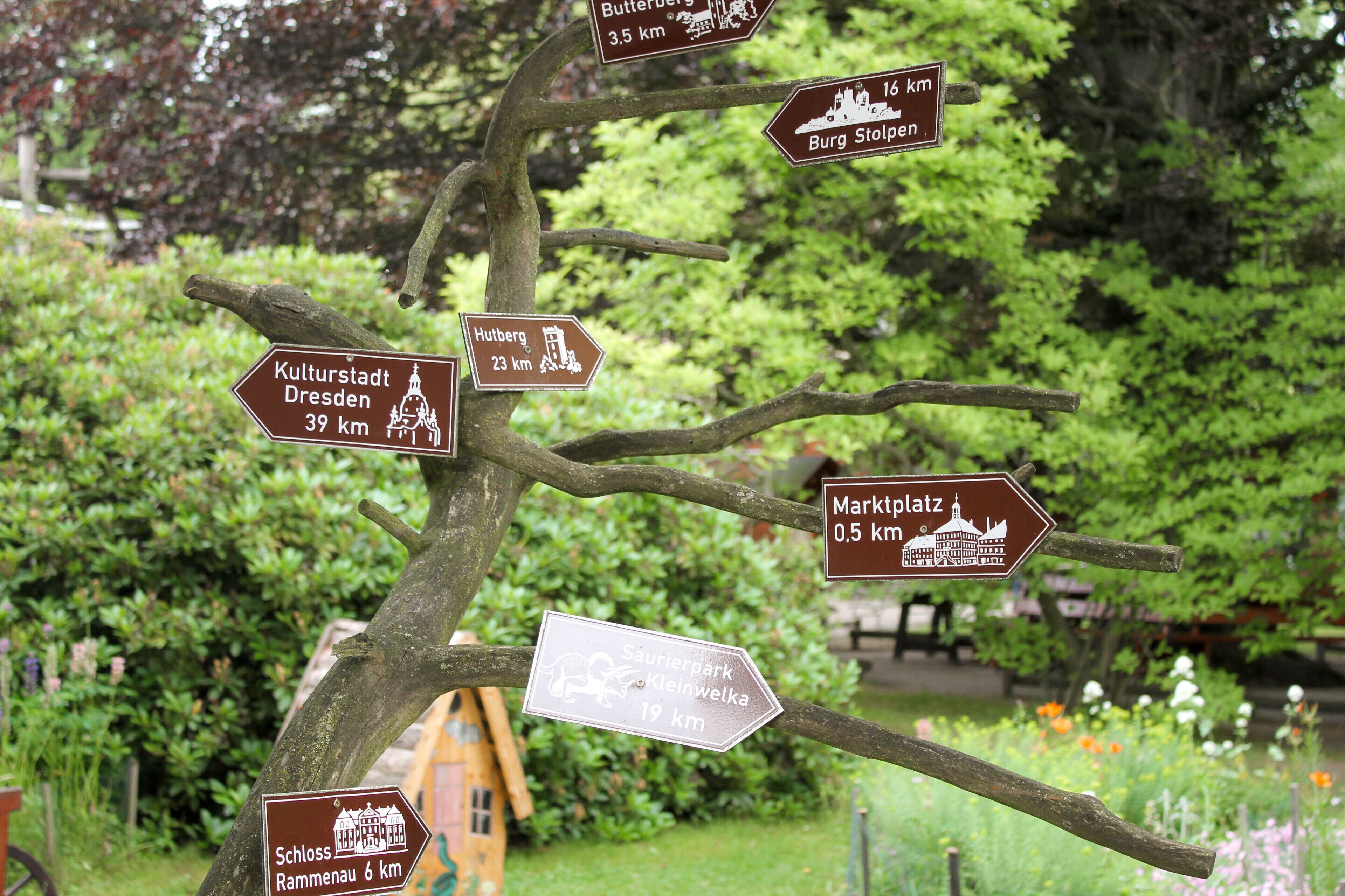 A directional signpost with multiple branches, each pointing to different destinations with distances.