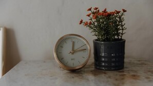 Un reloj de pared con esfera blanca y marco de madera, y una planta en maceta con flores anaranjadas.