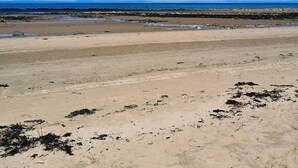Une plage avec un ciel dégagé et des montagnes à l’horizon.
