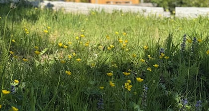 1 Bedroom Cabin with Mountain & Loch Views - located between Ben Nevis & Glencoe