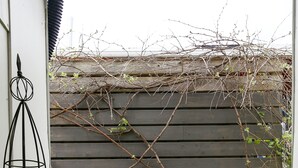 Una terraza de madera con dos sillas de metal, plantas en macetas y una barandilla metálica.