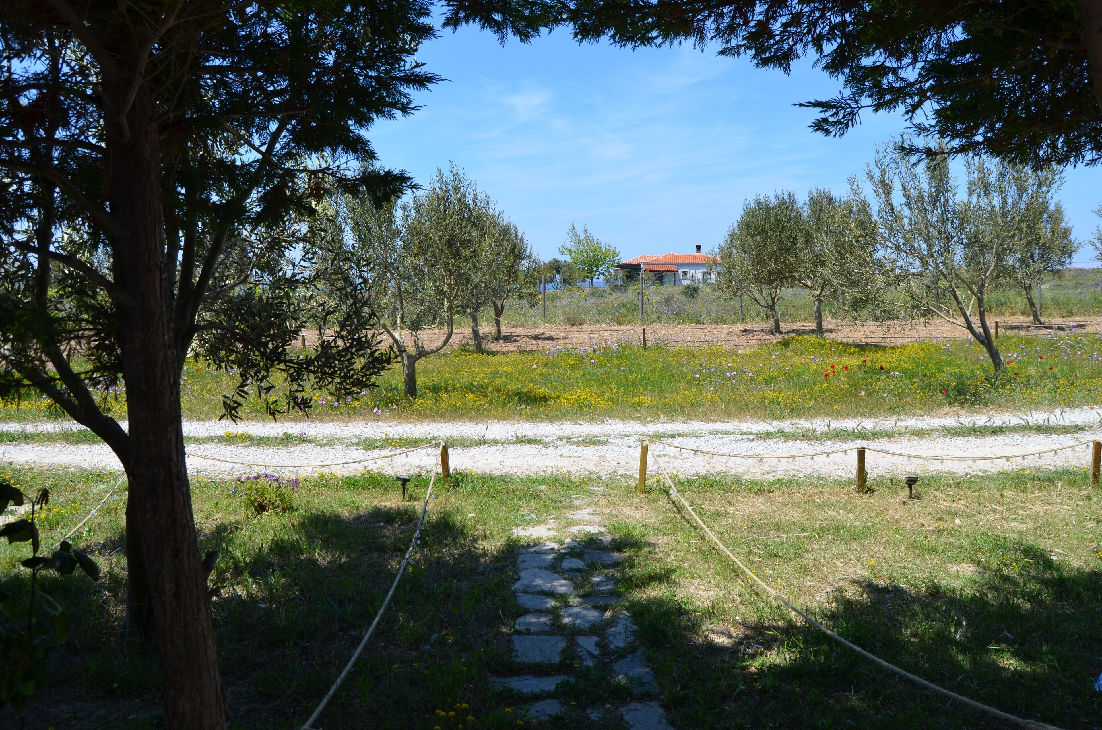 Le Petit Hotel ve Bağ Evi 