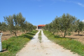 Front of property - Le Petit Hotel ve Bağ Evi (Bozcaada)