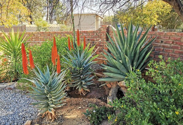 Garden - Akkerdam Bed and Breakfast (Hantam)