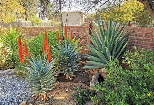 Akkerdam Bed and Breakfast