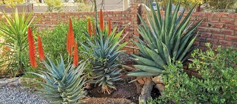 아커담 베드 앤 브렉퍼스트