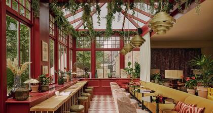 Ember Locke Kensington