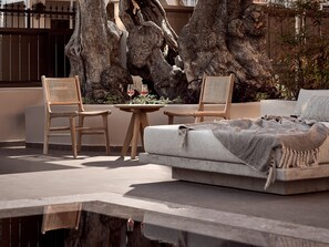 Terras