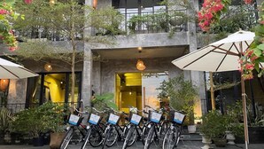 Un pati amb bicicletes aparcades sota para-sols, envoltat de plantes en testos i arbres.