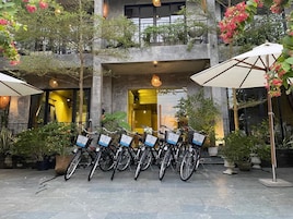 Un patio con bicicletas estacionadas bajo sombrillas, rodeado de plantas en macetas y árboles.