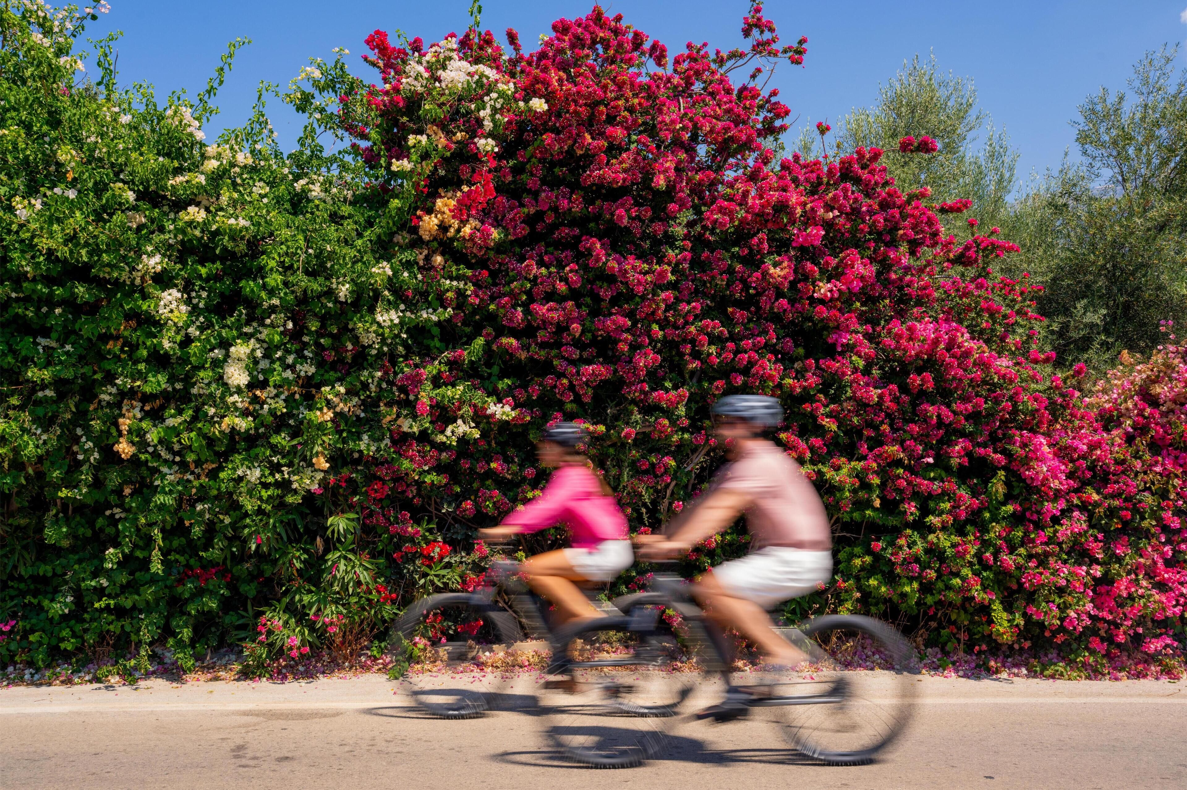 Bicycling