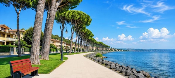 Property grounds - To complete (Anguillara Sabazia)