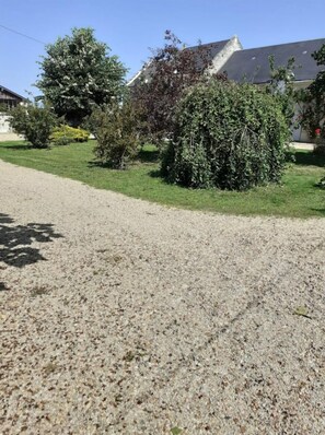Property grounds - Gite Chez LE Vigneron (Savigny-en-Véron)