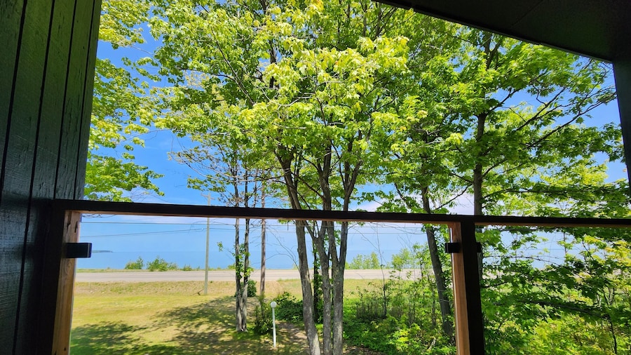 The Birchy,Base Hospitality Group的冒险住宿