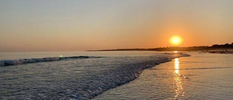 Plage à proximité