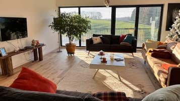 Smart TV, fireplace, books, stereo