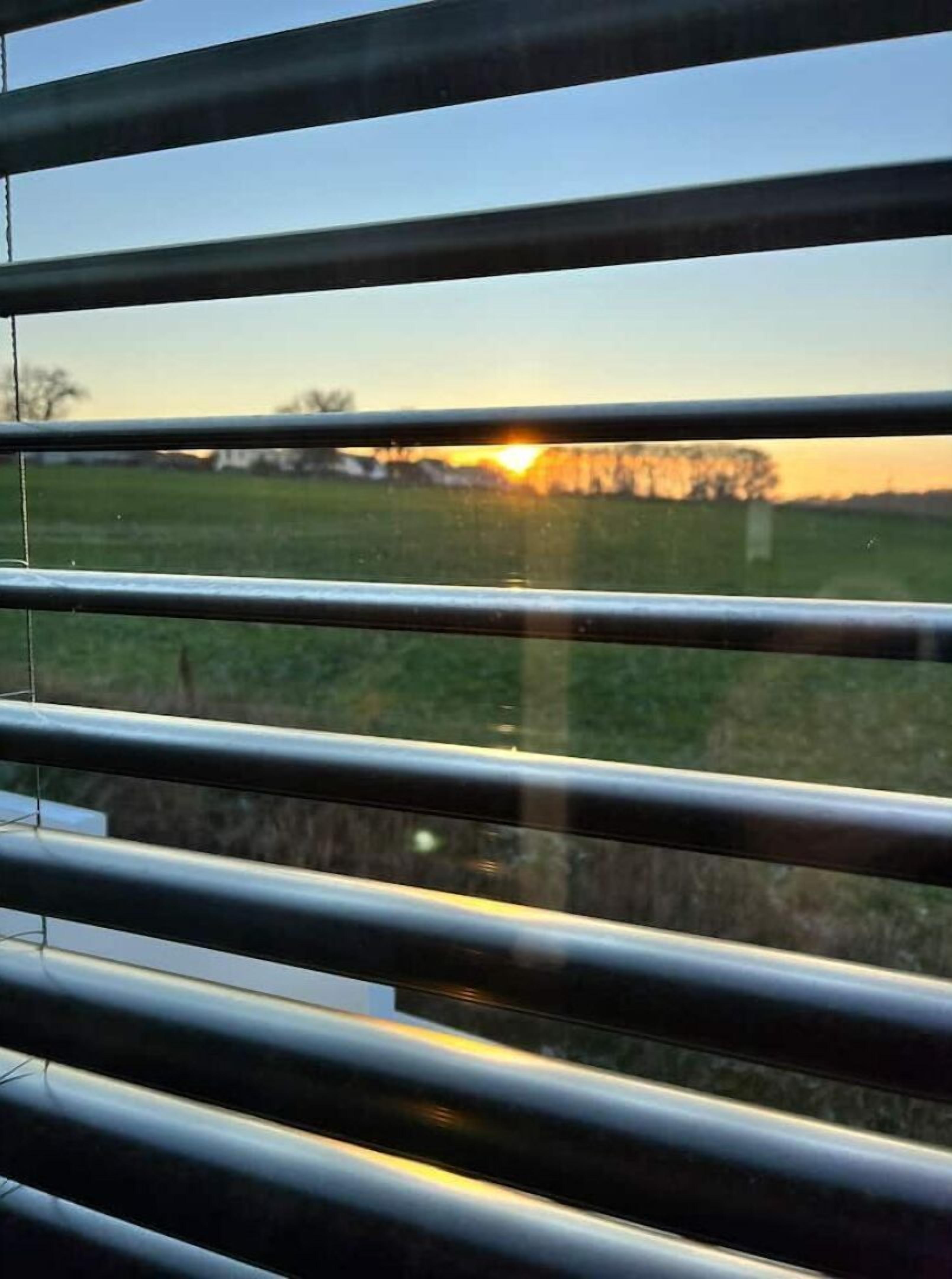 Udsigt gennem persienner til en solnedgang over en græsplæne.