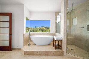 Bathtub, hair dryer