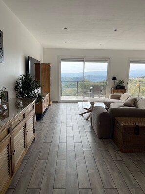 Televisio, pöytäjalkapallopöytä, kirjoja, stereot