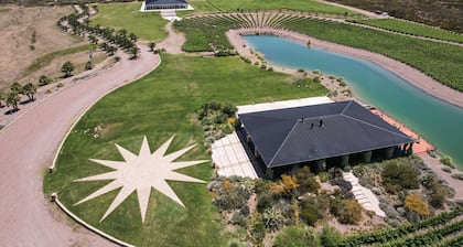 Unique Villas del Malbec Lodges between vineyards and mountain view