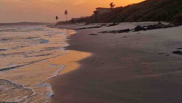 Une plage au coucher du soleil, avec une mer calme et quelques palmiers.
