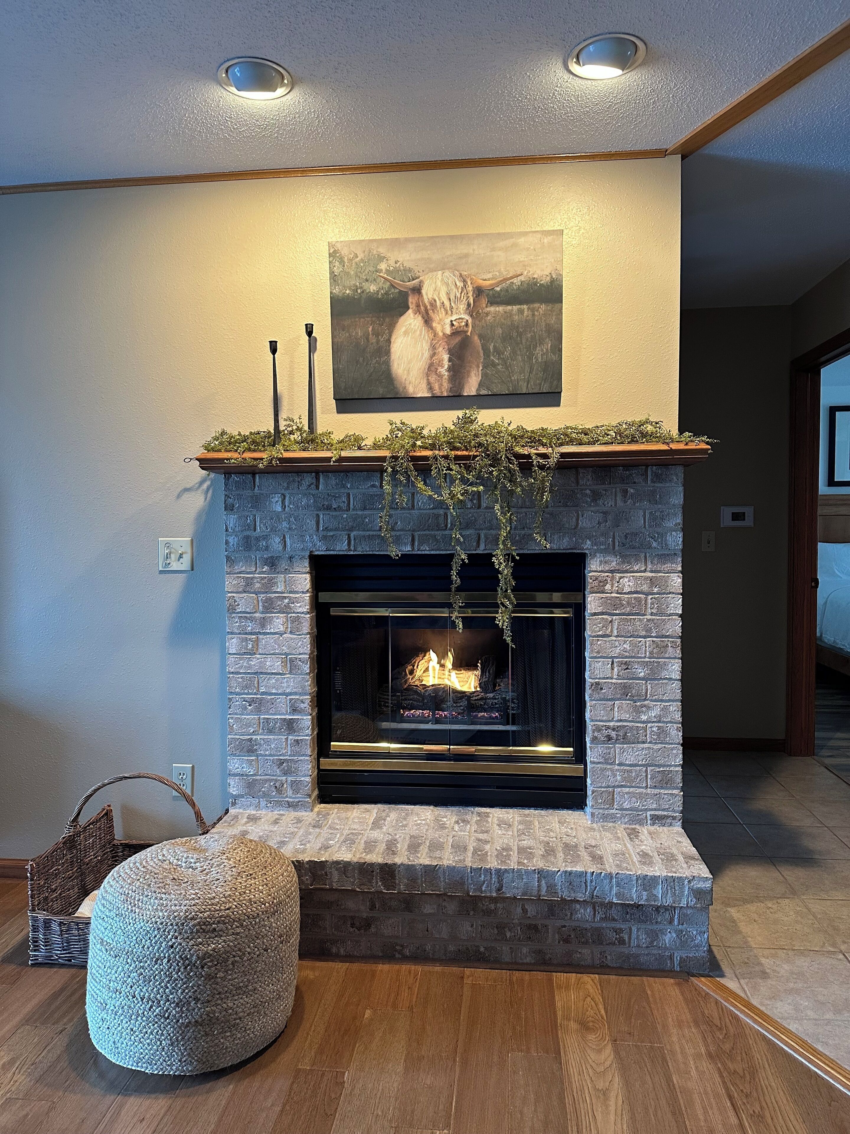 Gas fireplace