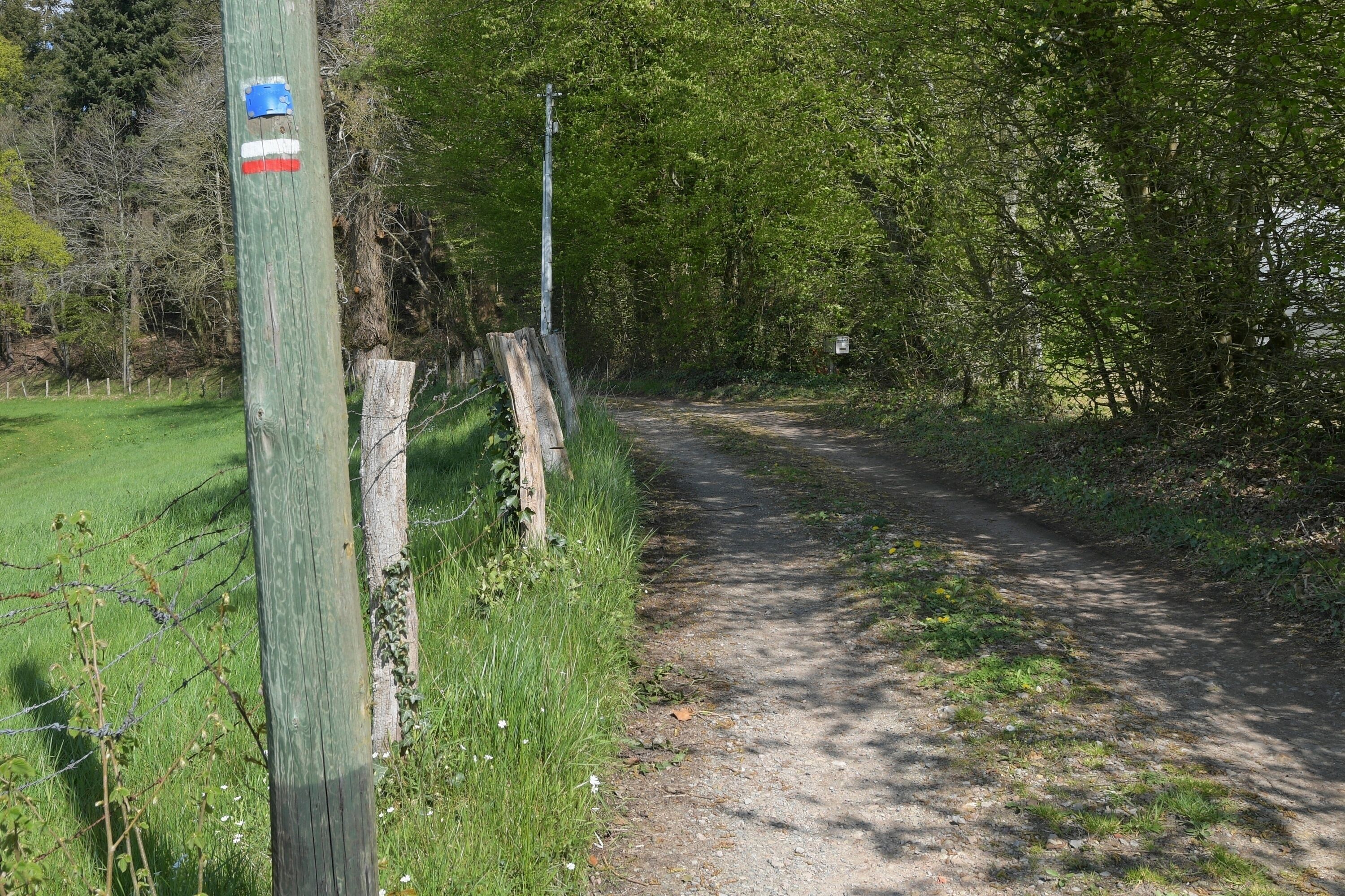 A dirt path flanked by wooden posts and a barbed wire fence, leading through a wooded area.