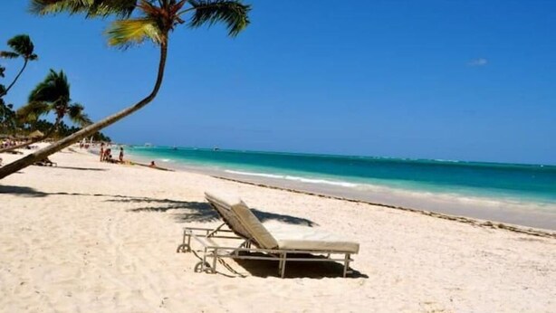 A beach with a single lounge chair, palm trees, and a clear blue sky. - Cómodo Apartamento en Santo Domingo Este (Santo Domingo Este)