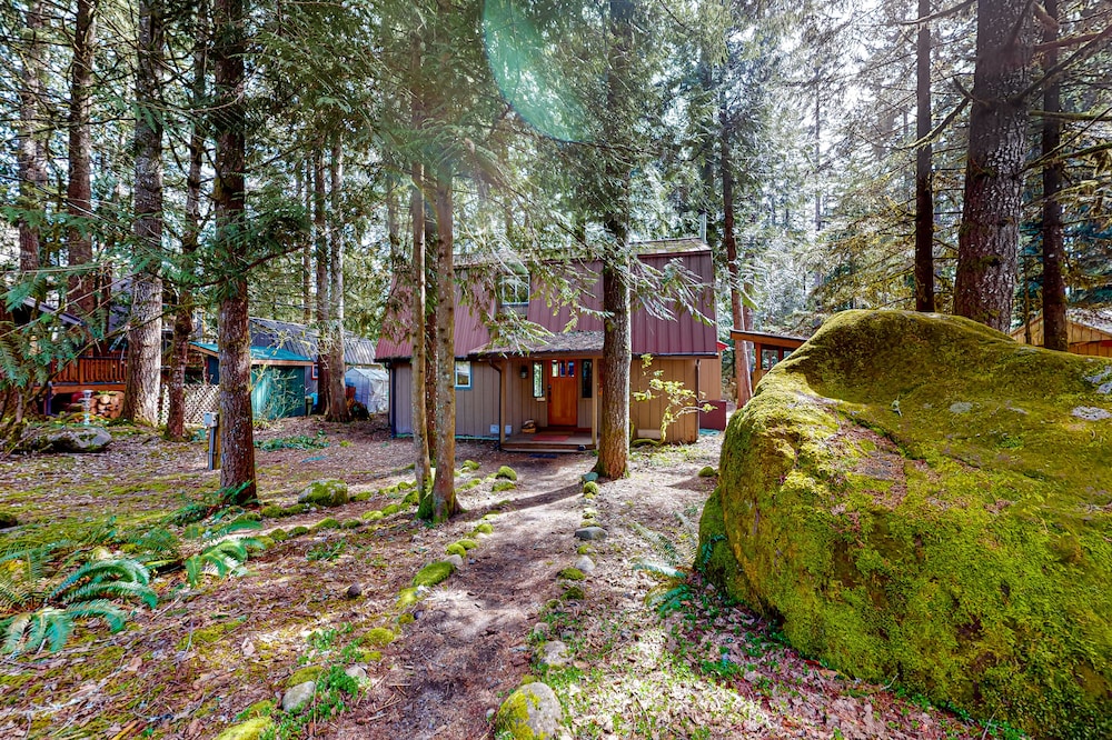 Dog-friendly cabin with a hot tub, wood stove, board games, grill, and W/D