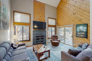 TV, lareira, DVD player, livros