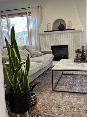 Smart TV, fireplace, books, printers