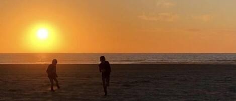 Chaises longues, serviettes de plage
