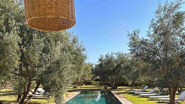 A pool area with a green-tiled deck, lounge chairs, and olive trees. - Luxurious Villa Beldi Chic 20 minutes from Marrakech Medina (Tamesloht)