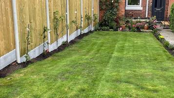 House | Property grounds