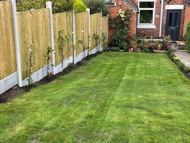 House | Property grounds