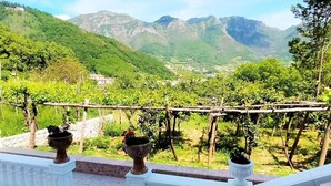 Un balcon avec vue sur un vignoble et des montagnes.
