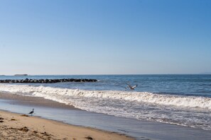 Plage à proximité, chaises longues, serviettes de plage