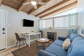 Smart TV, fireplace, books