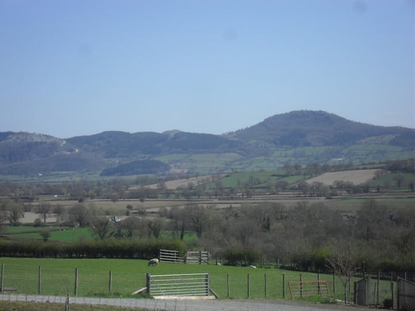 A rural landscape with a grassy field, a wooden bench, and a mountain in the background.