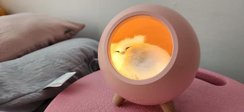 Eine kleine, runde, rosafarbene, tierfreundliche Lampe mit Kätzchen darin, platziert auf einem rosa Kissen.