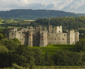 A large, historic castle surrounded by lush green fields and trees.