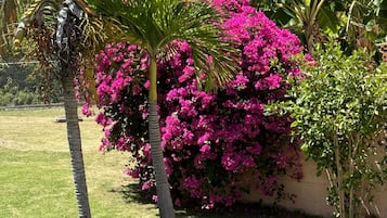 公寓 | 住宿一隅