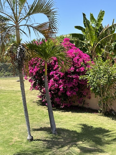 Remarkable 1-bed Apartment in Montego Bay