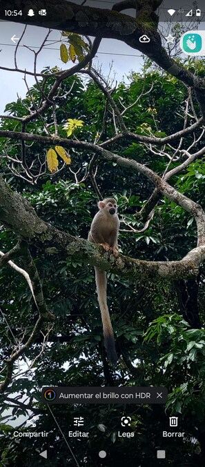 Miscellaneous - VILLAVICENCIO STUDIO APARTMENT  (Villavicencio)