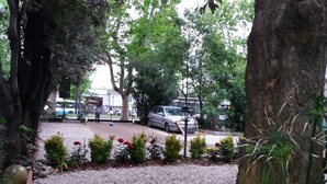Un chemin de gravier bordé de petits arbustes, avec une voiture garée au fond.