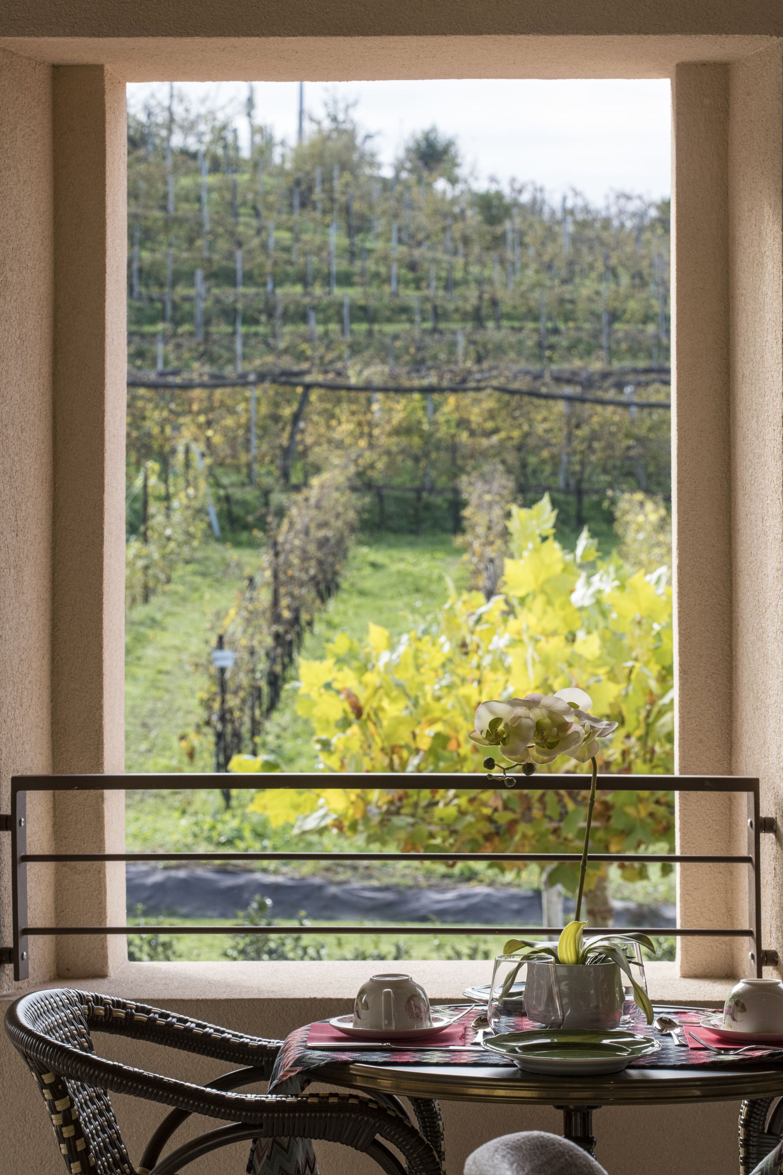 Una mesa con vistas a un viñedo a través de una ventana.