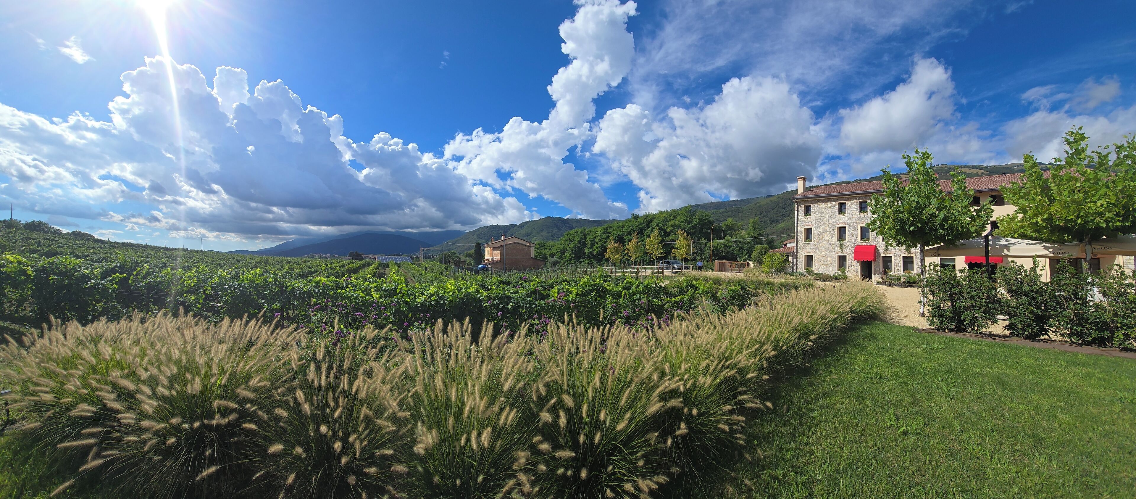 Un bâtiment à la façade en pierre, entouré d’une végétation luxuriante et d’un vignoble.